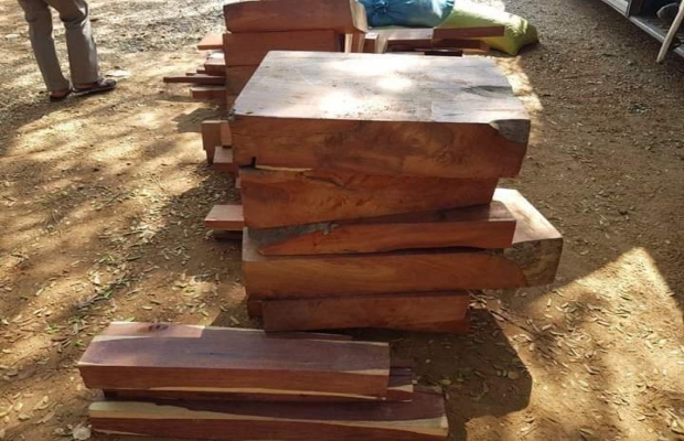 កន្ទេលធំបន្លំដេកមែន សមត្ថកិច្ចបង្ក្រាបបានឡានក្រុងមួយគ្រឿងលួចដឹកឈើប្រណិតបម្រុងនាំចេញទៅប្រទេសវៀតណាម!