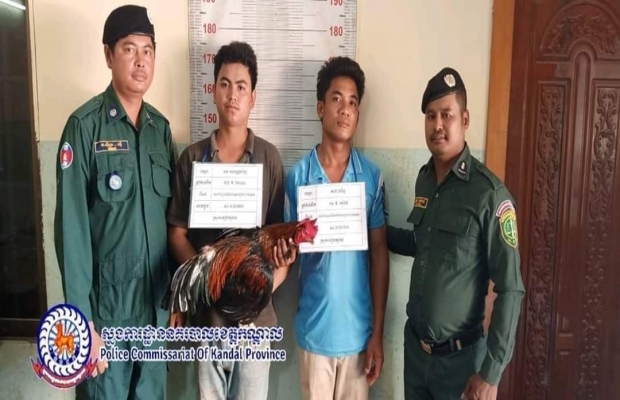 កម្លាំងនគរបាលប៉ុស្តិ៍សំរោងធំបង្រ្កាបករណីល្បែងស៊ីសងខុសច្បាប់ (ជល់មាន់)បានទាន់ពេលវេលា....