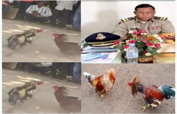 ថាខ្លាំងៗមែនលោក ទេព្យ ពុំសែន អធិការស្រុកពួក បេីកដៃឲ្យអ្នកញៀនល្បែងសុីសងសង្វៀនជល់មាន់បេីកលែងយ៉ាងគគ្រឹកគគ្រេងបេីទោះបីក្រសួងសុខាភិបាលប្រកាសក្តែងៗផ្អាក់ការប្រមូលផ្តុំជួបជុំគ្នាយ៉ាងណាក៍ដោយ ក៍សង្វៀនជល់មាន់របស់ លោក ឆៃ ពៅ នៅតែបន្