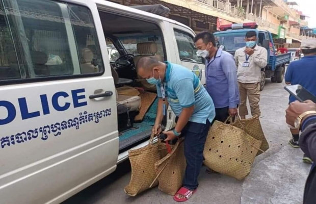 សម្ថកិច្ចចុះបង្រាប់ទីតាំងជល់មាន់និងអាប៉ោងនៅសង្កាត់ស្ទឹងមានជ័យទី២ចាប់អ្នកញៀនល្បែងបានជាច្រើននាក់.....!