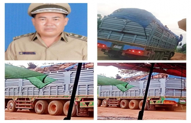 ធ្យូងក៏ជាដើមចមនៃការកាប់បំផ្លាញព្រៃឈើទាំងតូចទាំងធំវិនាសសកម្មហិនហោចនៃសម្បត្តិធនធានធម្មជាតិផងដែរ!