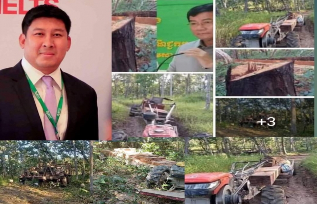 ល្បីទៀតហើយបទល្មើសកក្រើកព្រៃឈើក្នុងស្រុកជយ័សែនខេត្តព្រះវិហាររបស់ក្រុមហ៊ុន(ភីអុិនធី)របស់លោក ឡេង ឫទ្ធី កំពុងបំភ្លេចបំផ្លាញព្រៃឈើក្នុងតំបន់ព្រៃឡង់យ៉ាងរង្គាល!